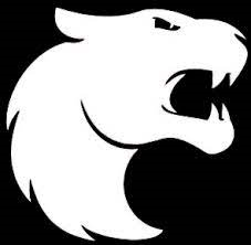 FURIA Esports