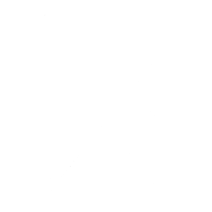 Shopify Rebellion
