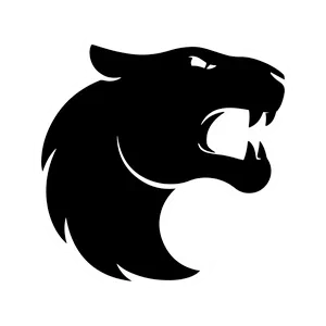 FURIA Esports