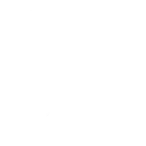 Shopify Rebellion