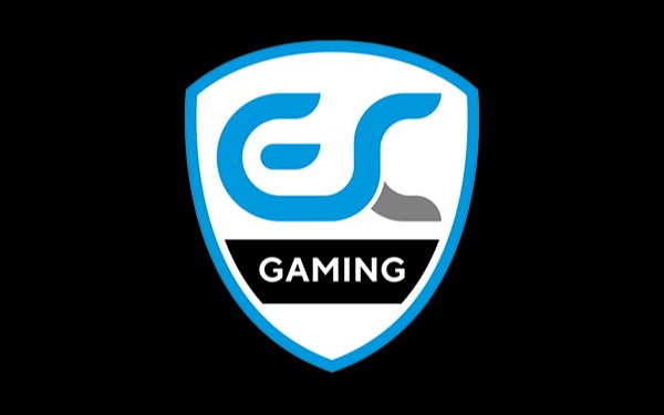 ESC Gaming попрощались с тренером и капитаном