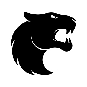 FURIA Esports