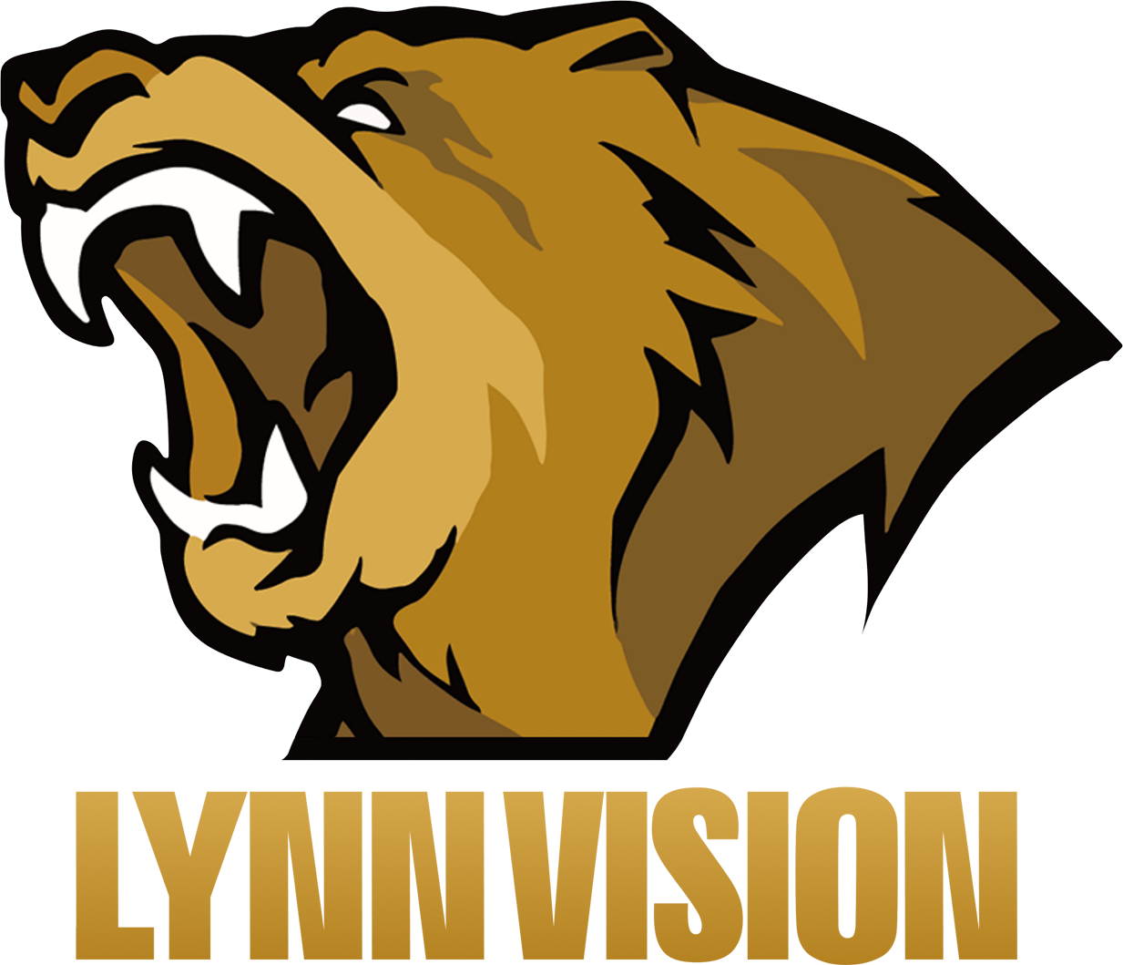 Lynn Vision